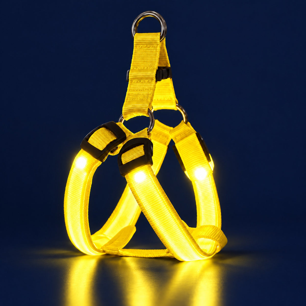 LumiPfote