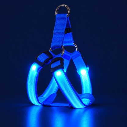 LumiPfote