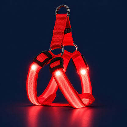 LumiPfote