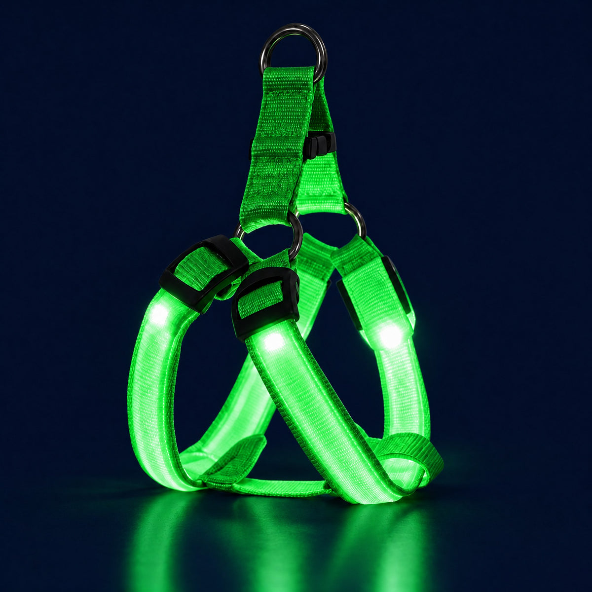 LumiPfote