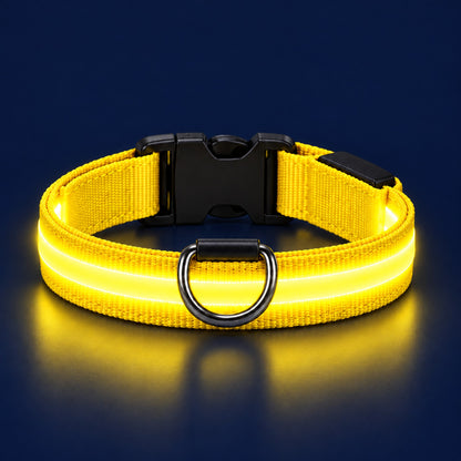LumiPfote