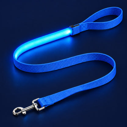 LumiPfote