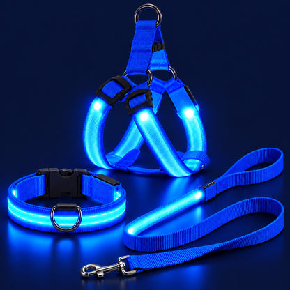 LumiPfote