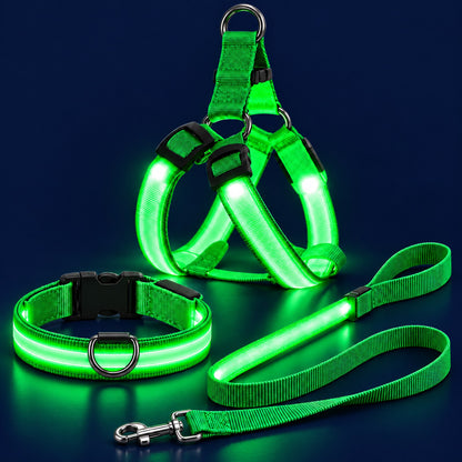 LumiPfote