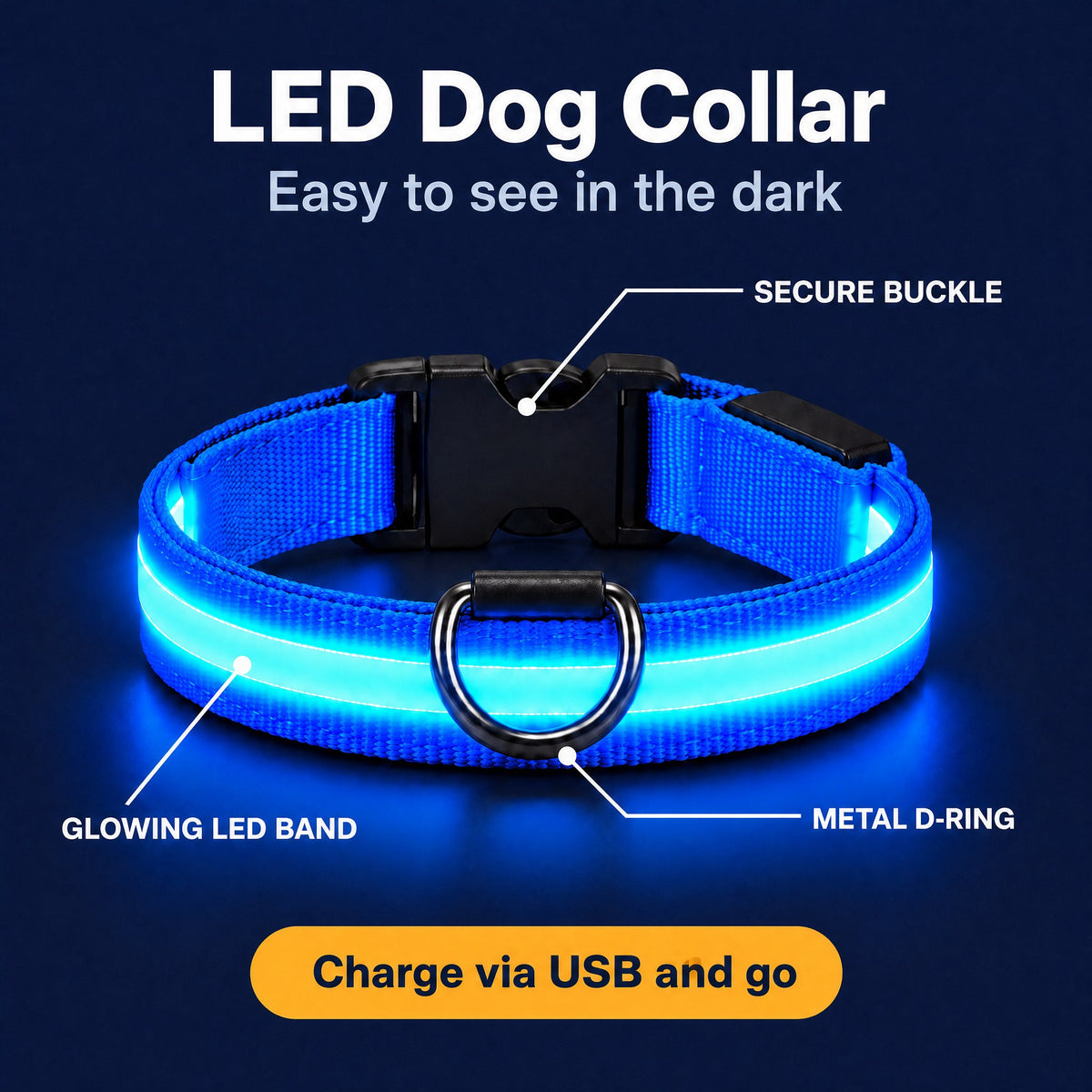 LumiPfote