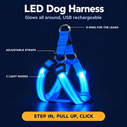 LumiPfote