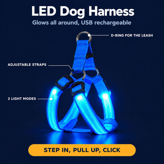 LumiPfote