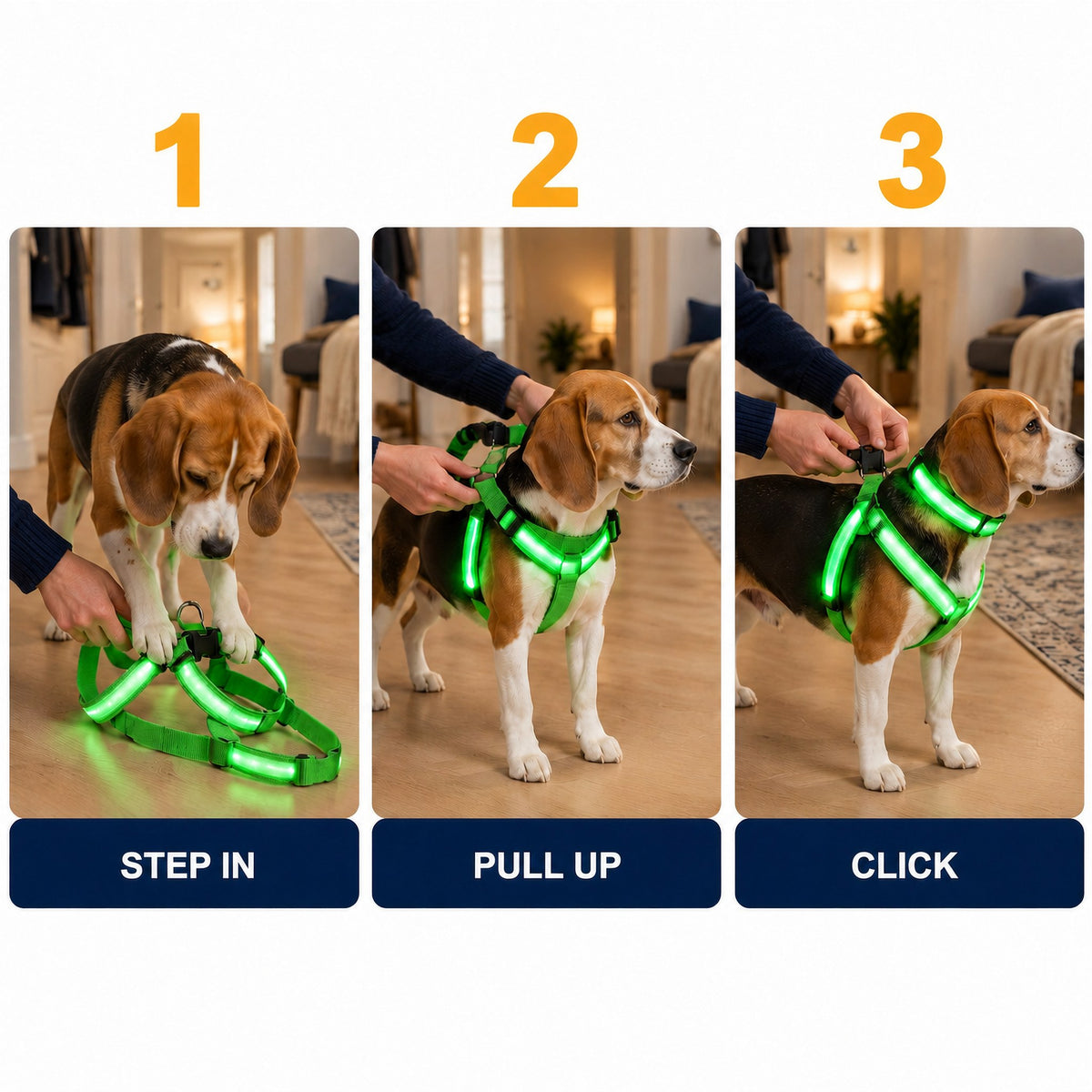 LumiPfote