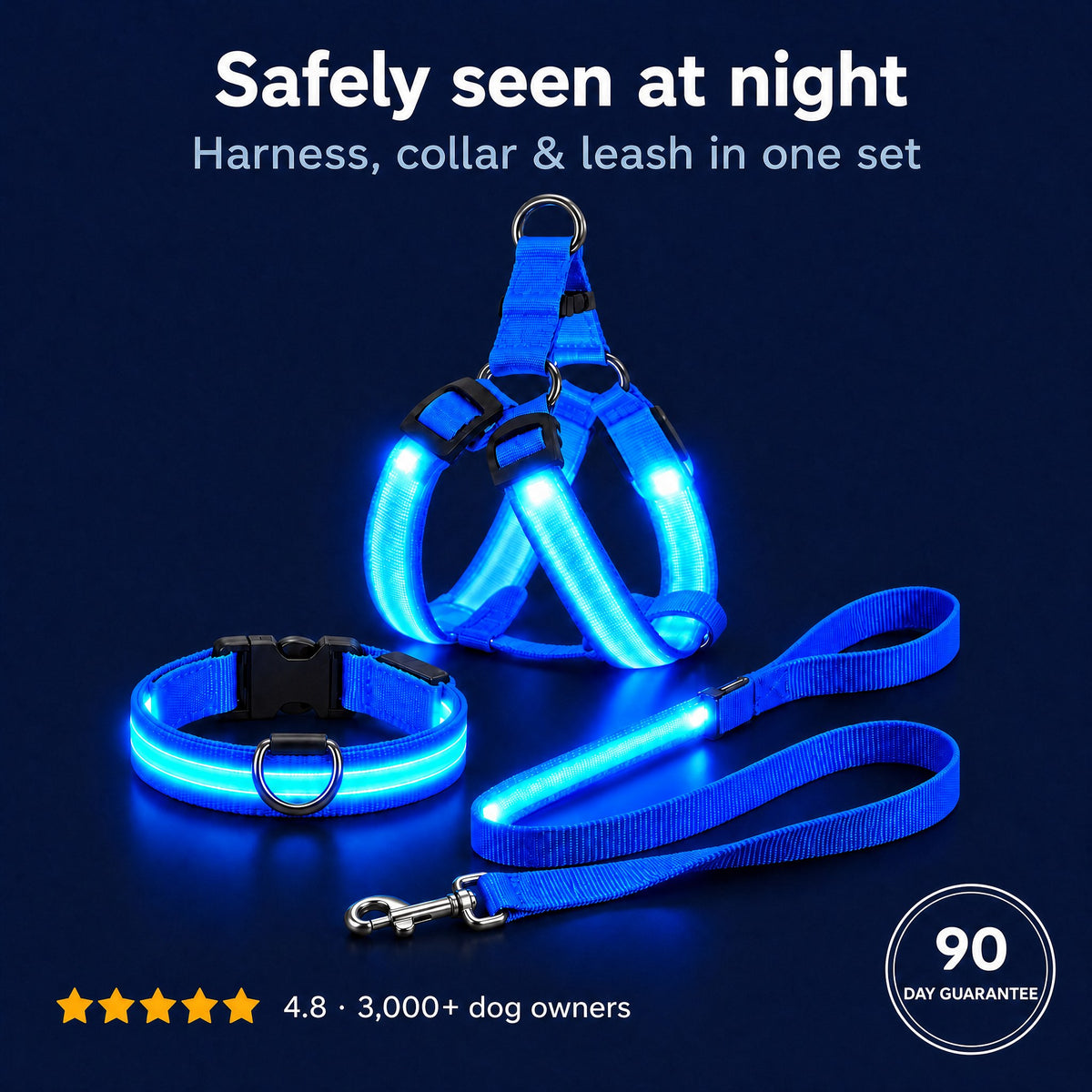 LumiPfote