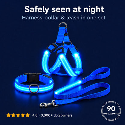 LumiPfote