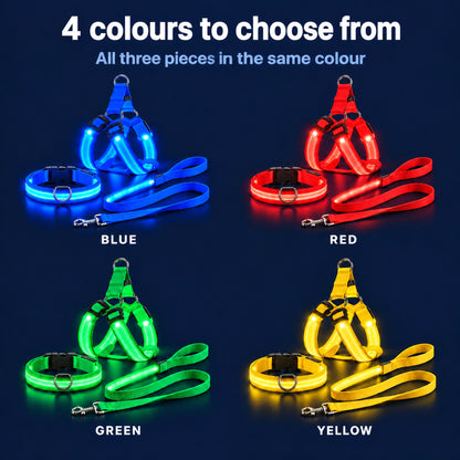 LumiPfote