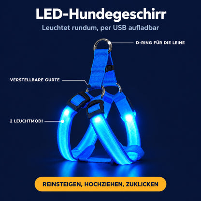 LumiPfote