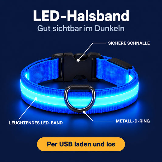 LumiPfote