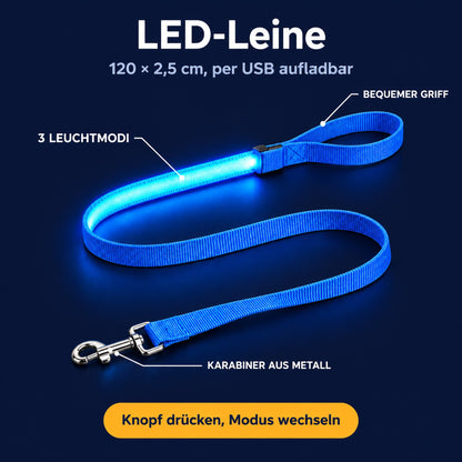 LumiPfote