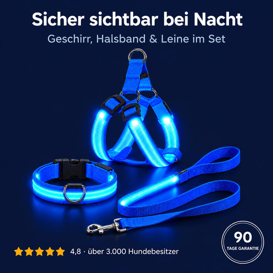 LumiPfote
