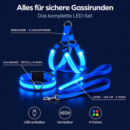 LumiPfote