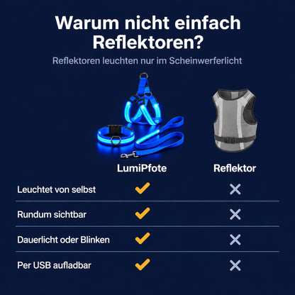 LumiPfote