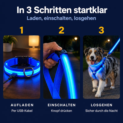 LumiPfote