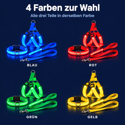 LumiPfote