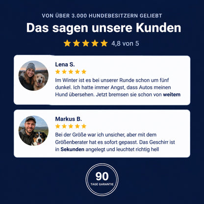 LumiPfote